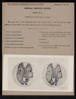 Central Nervous System. Brain - no. 6